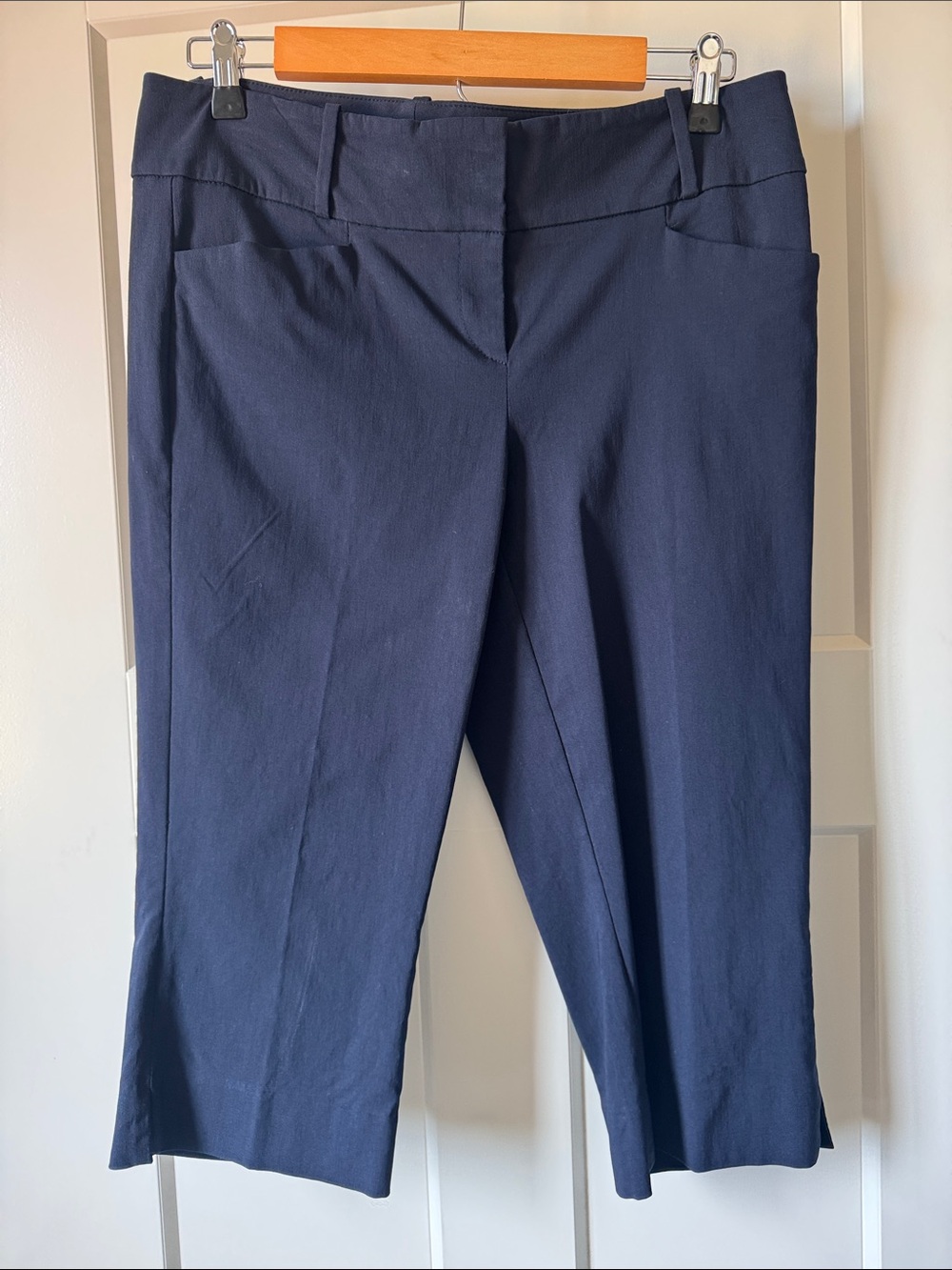 The Limited Navy Cropped Dress Pants